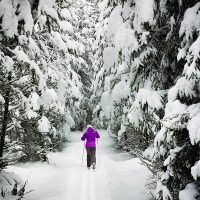 Cross Country Skiing